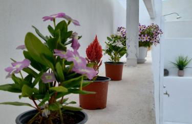 Granny's Home ,mini villa for 4 - Foto 10