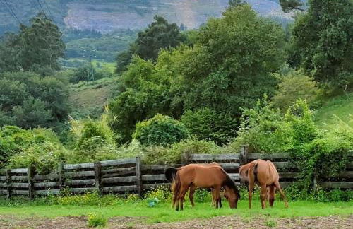 Alojamiento rural cerca de Bilbao - Foto 15