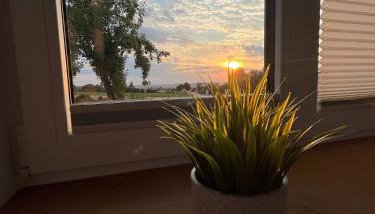 Tinyhaus Ferien - Foto 2