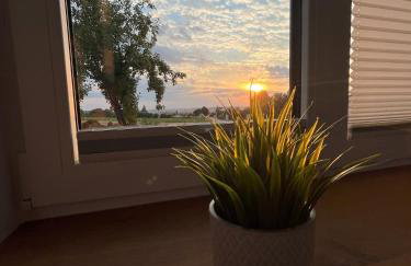 Tinyhaus Ferien - Foto 2