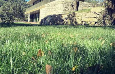 Casa Paz - Douro - Foto 22