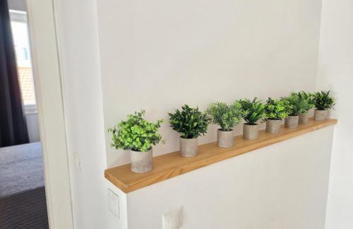 Del Parque Flats Atico Huertas - Foto 16