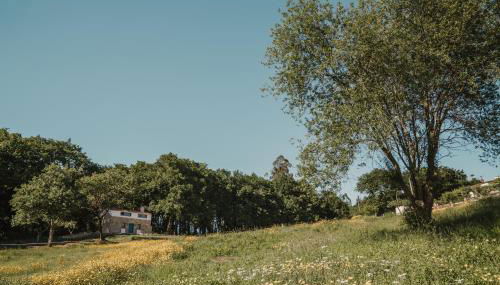 Casa de la Pradera - Foto 1