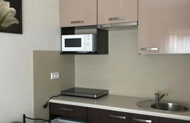 W Pieninach studio - Photo 6