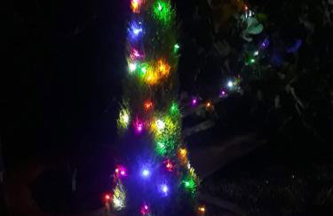 Chácara Chiafarelli - Photo 21