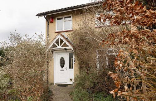 Ping-Pong Paradise - Foto 57