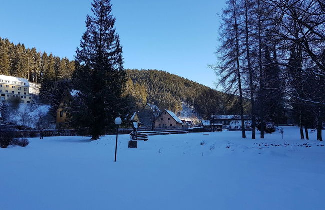 Ferienwohnung im Oberharz in Wildemann - Foto 20