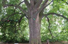 Ferienhaus Triasland - Foto 6