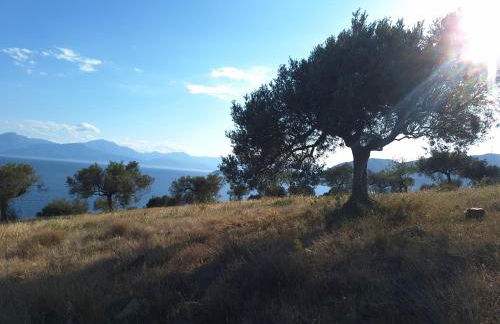 Physis Fokida - Foto 17