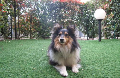 Luminoso Trilocale con Piscina e Giardino privato - Foto 31