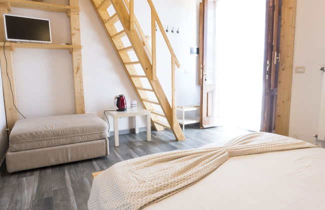 Viola nel Parco - Foto 17