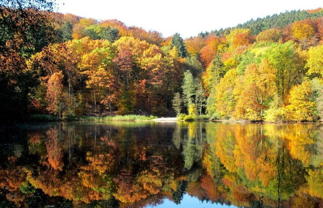 Fasse Comfortable Holiday Residence - Foto 18