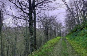 Apartamentos Nevandi - Photo 29