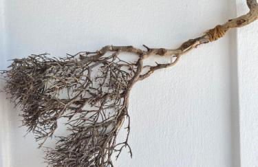 VERADA HOUSE - Foto 6