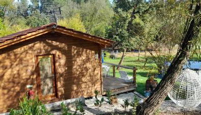 Quinta da Bolota Guest House - Photo 4