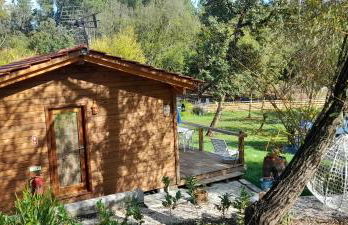 Quinta da Bolota Guest House - Foto 4