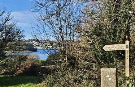 Lavender Cottage - Foto 48