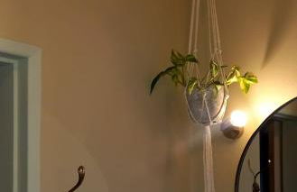 The Sweet Lemon 3 - Foto 11