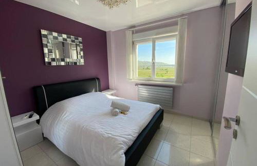 Chez Florence Ammerschwihr - Foto 8