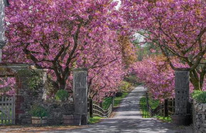 Lords Leap - Foto 17