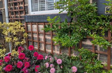 Robin Cottage - Foto 25