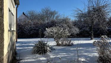 Villa Vilma Antica - Foto 4