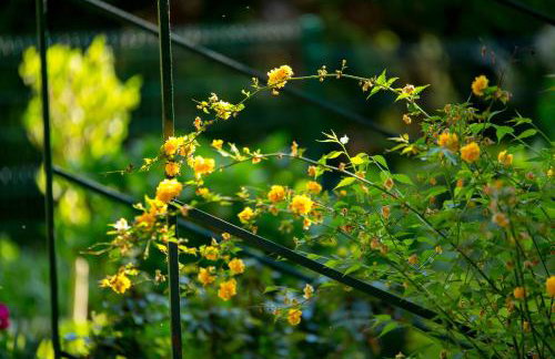 RIKI'S APARTMENT-ZAGREB - Photo 28