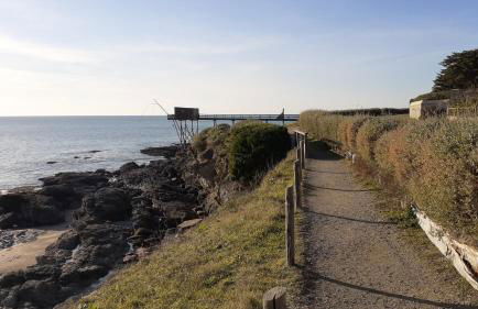 Les Voiles du Clipper T2 - Foto 16