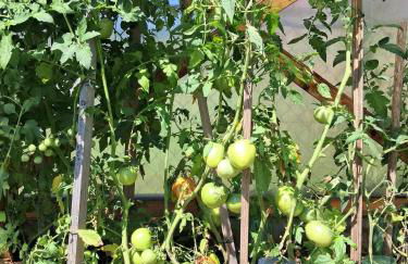 LE CROSERY Clim Rando Ski BBQ Voie Verte - Foto 28