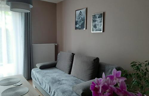 Apartamenty ,,Trzy Sosny'' Rymanów-Zdrój - Foto 28