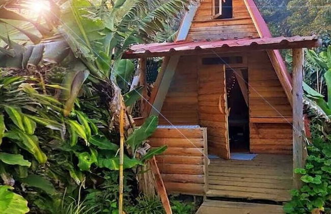 Banana Eco Camp - Foto 14