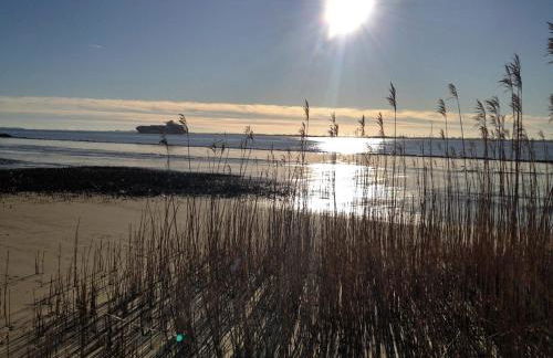 Ferienhaus am Elbdeich - Photo 1