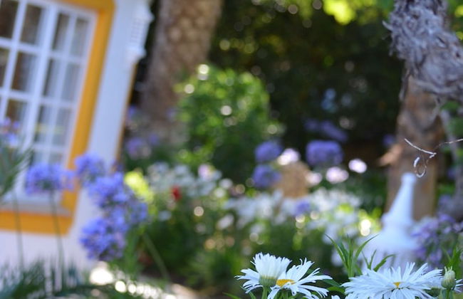 Cosy Decorated Studio at Quinta Paraiso da Mia - Foto 9