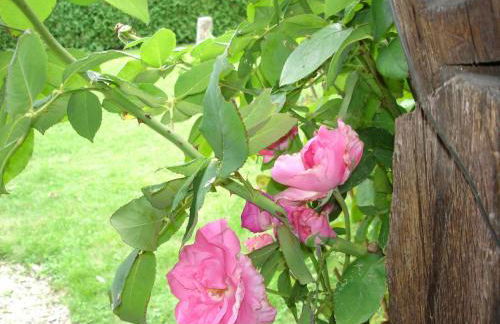 Au clos de marie - Foto 16