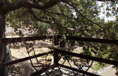 Azienda Agricola Biologica La Cardellina - Foto 50