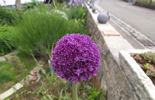 Kleine Auszeit - Foto 17