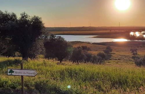 Monte da Figueira - Foto 52