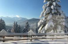 Traumhaus sensationeller Lage Traumhafter Bergblick absolute Ruhe - Foto 31