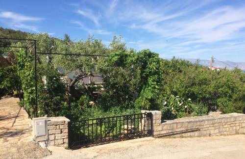 Faros oasis - Foto 26