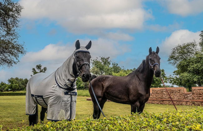 amã Stays & Trails Abhay Villa, Bisalpur - Foto 20