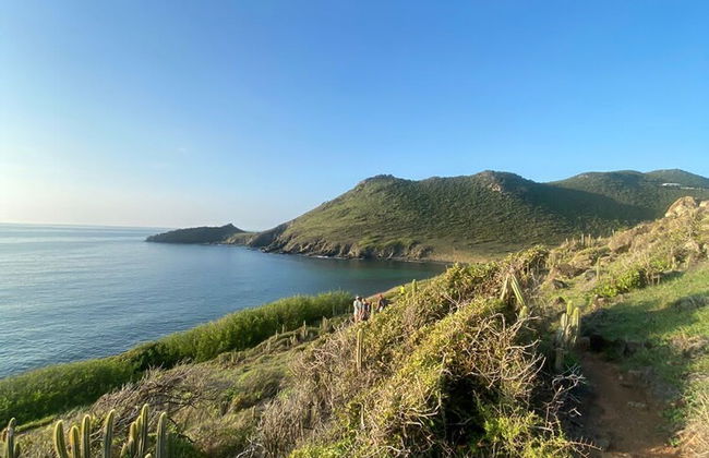 Tropical Ivy - a Peaceful Getaway in St Maarten - Foto 27