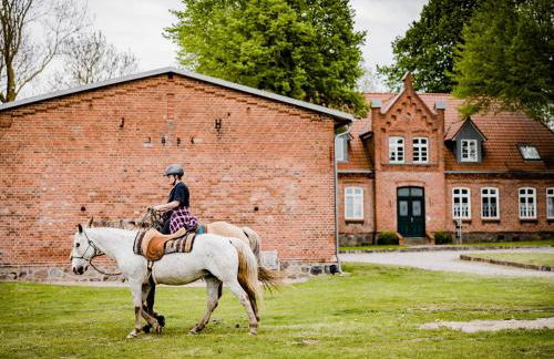 Landurlaub in Lubberstorf - Foto 45