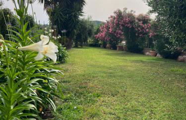 Agriturismo Il Giardino Degli Olivi Appartamenti - Foto 22