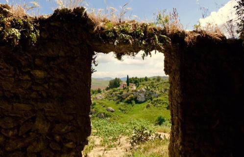 Ciuci's Manor - Foto 23