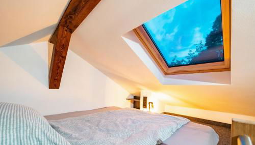 Fewo Janks I 11A-Remise I Alte Schmiede -Tinyhouse - Foto 4