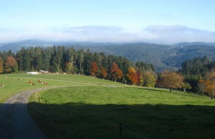 Sigmundenhof Schonach - Foto 4