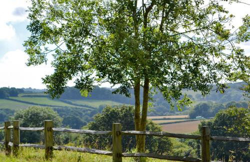 Henley Bridge Holiday Cottage - Photo 11