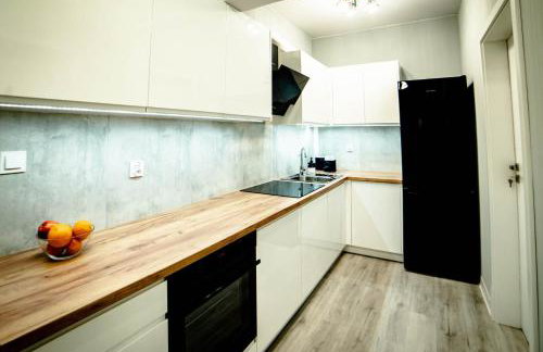 LOFTY APARTAMENTY Namysłów I - Foto 5