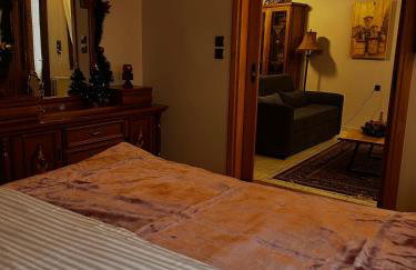 MetsoVillas στο κέντρο του Μετσόβου - Photo 47