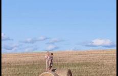 Kiełpińska Stodoła - Foto 22